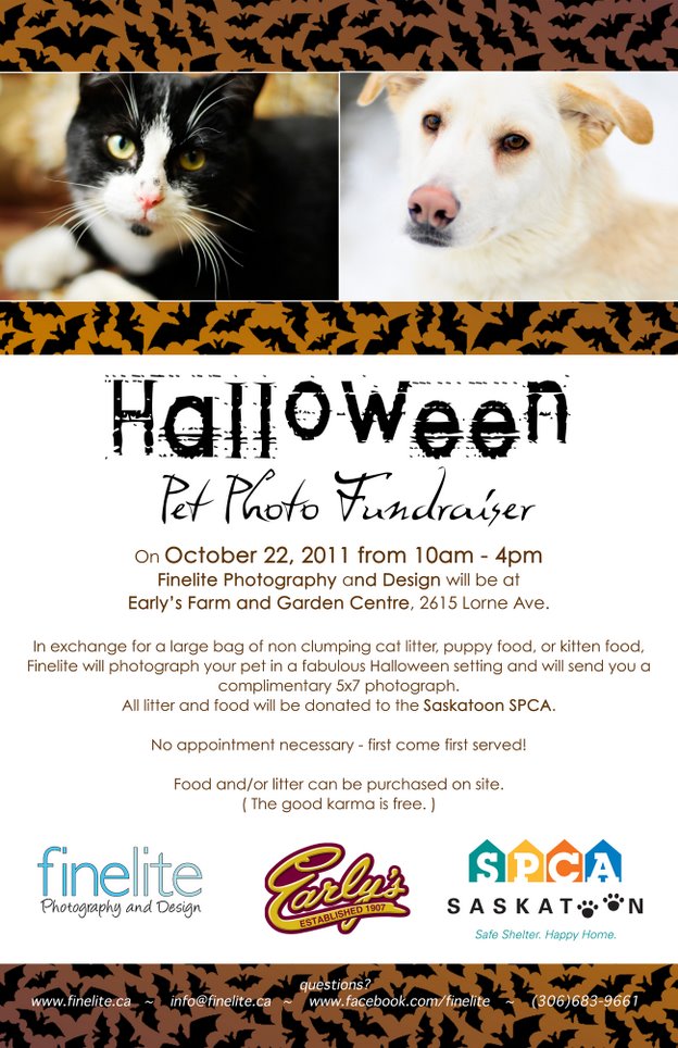 SPCAPhotoDayHalloween