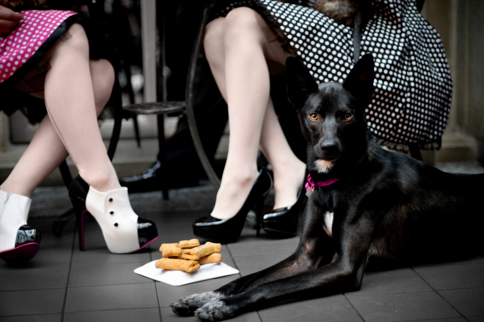 Bravo’s photo session