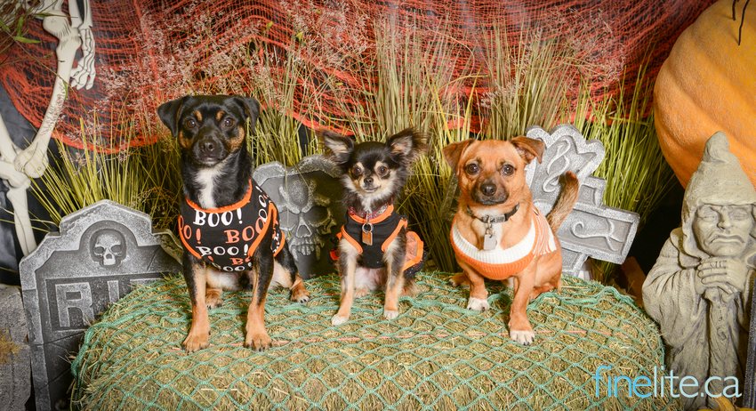 Spooktacular turnout!