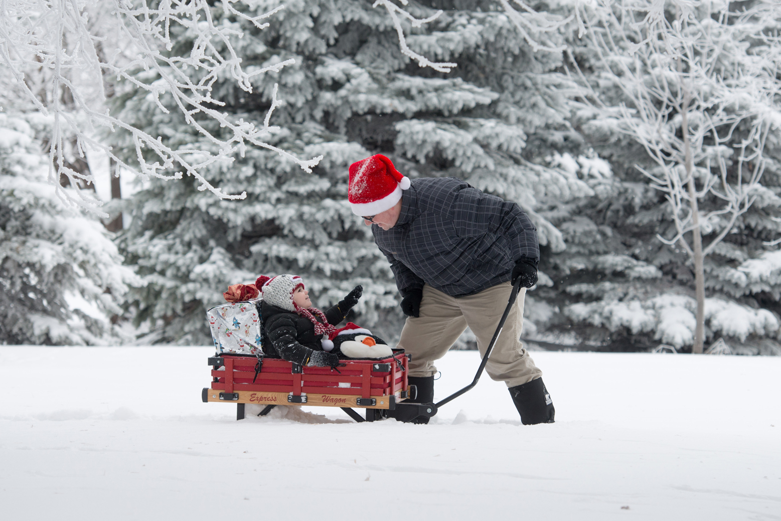 just in case I don’t say it enough…