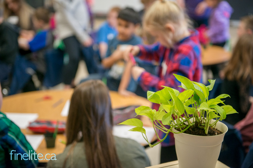 Warman Collective Garden – Grade 2 classes
